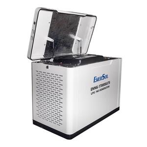 Генератор газовый EnerSol ENNG-17000SATS