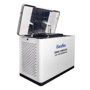Генератор газовий EnerSol ENNG-17000TATS