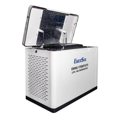 Генератор газовий EnerSol ENNG-17000TATS