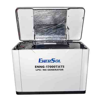 Генератор газовий EnerSol ENNG-17000TATS
