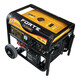 Комбінований генератор (газ-бензин) Forte FG LPG 6500E (58392)