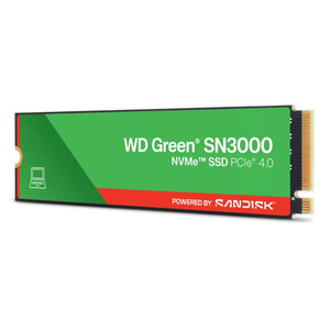 SSD-Накопичувач WD WDS100T4G0E