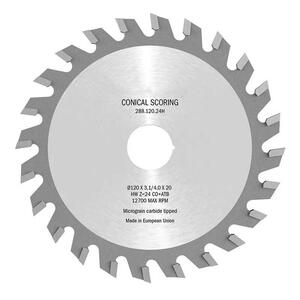 Пила підрізна для форматно-розкрійного верстату HM D-100, F- 20, Z - 20, K- 3,1-/4,0