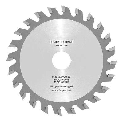 Пила підрізна для форматно-розкрійного верстату HM D-100, F- 20, Z - 20, K- 3,1-/4,0