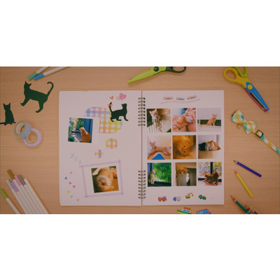 Canon Комплект расходных материалов XS-20L