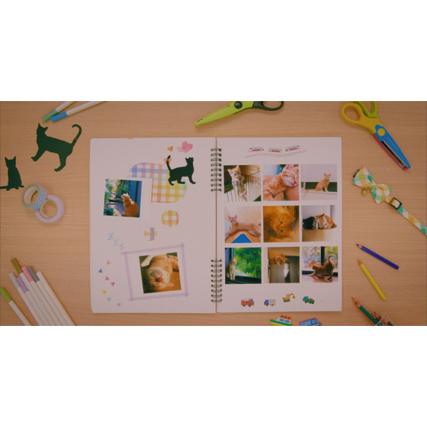 Canon Комплект расходных материалов XS-20L