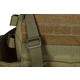 Плитоноска з підсумками Тип1, 2Е, Молле, хакі (2E-MILPLACARR1-OG)