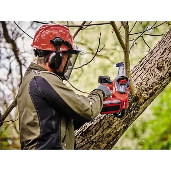 Пила ланцюгова акумуляторна Einhell FORTEXXA 18/20 TH, 18В PXC, 20см, безщіткова, 2.54кг, без АКБ і ЗП