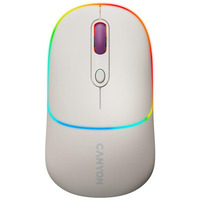 Мышь беспроводная Canyon MW-22 Dual Band RGB Wireless Rice (CNS-CMSW22RC)