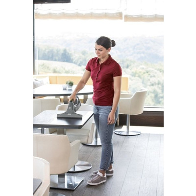 Пилосос Віконний Karcher WVP10