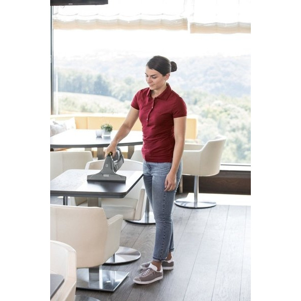 Пилосос Віконний Karcher WVP10