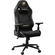 Крісло для геймерів Cougar Explore Royal F Black