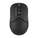 Мишка A4-Tech A4Tech Fstyler FB12S, USB, чорна