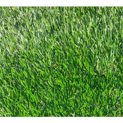 Штучна трава Unity Eden 25 мм (2 м)