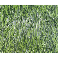 Штучна спортивна трава Unity PowerTurf 55