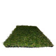 Штучна трава Unity SoftLawn 30