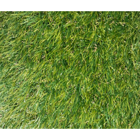 Штучна трава Unity SoftLawn 30