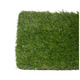 Штучна трава Unity SoftLawn 30