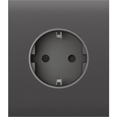 Центральна панель для вбудованої розетки Ajax CenterCover for Outlet Basic, grey