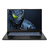 Ноутбук Dream Machines RG5050-17 17.3FHD IPS, Intel i9-14900HX, 32GB, F2TB, NVD5050-8, DOS, чорний