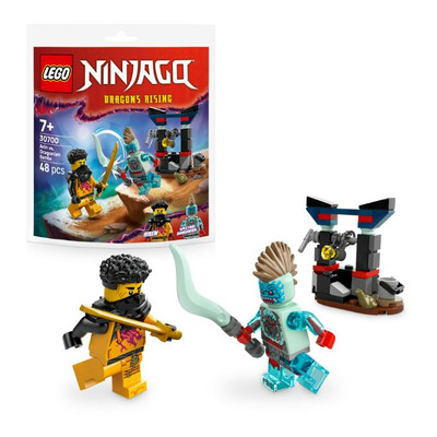 Конструктор LEGO recruitment Ninjago Арін проти Дракона: Битва