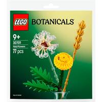 Конструктор LEGO recruitment Botanicals Польові квіти