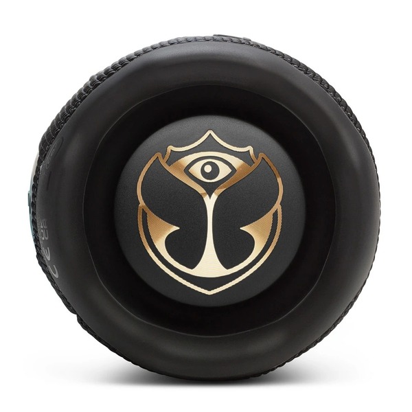 Портативна колонка JBL Flip 7 Tomorrowland (JBLFLIP7TML)