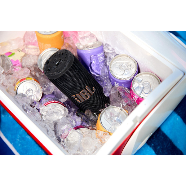 Портативна колонка JBL Grip Squad (JBLGRIPSQUAD)