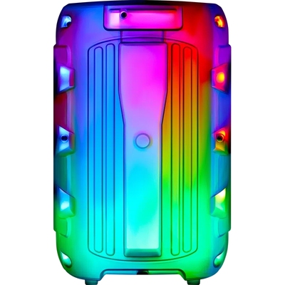 Портативна акустика Defender Boomer 12 15Вт (65412)