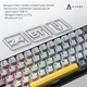 Клавиатура беспроводная Ajazz AK680 Max (8+8K) Magnetic Switch Black (AK680-M-BGY-A)