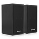 Акустическая система REAL-EL S-202