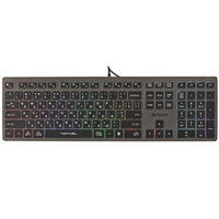 Клавиатура A4Tech Fstyler FX60H Grey Neon Backlit