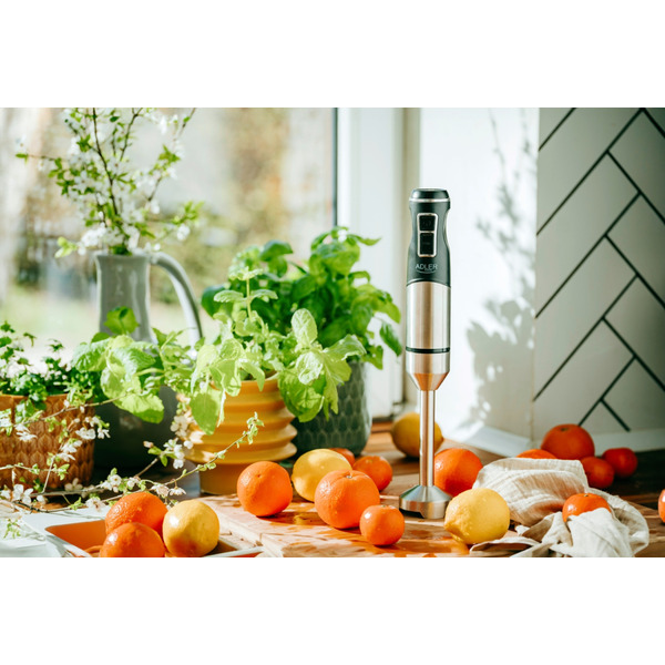 Блендер Adler AD 4628 ручний/ 1500Вт/ 1 швидк./ без чаші/ Turbo/ Ice Crush/ чорний