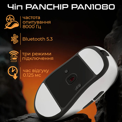 Мышь беспроводная RAWM ER21 Black