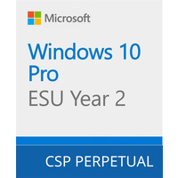 Microsoft Windows 10 ESU Year 2 (2026 - 2027)