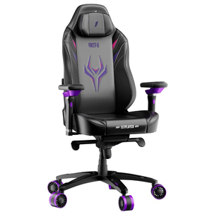 Кресло для геймеров 1stPlayer F.A.S.T.