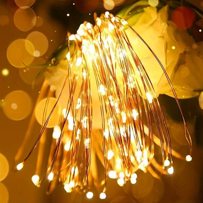 Светодиодная гирлянда ColorWay (CW-G-100L10NB) 100LED, 10м, 8 функций, теплый цвет 3AA