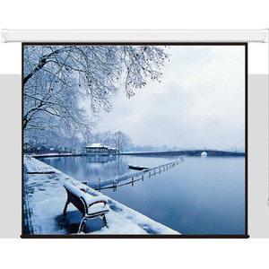 Екран моторизований з пультом ДК Electric Screen with remote control 259×162cm Matte White 16:10