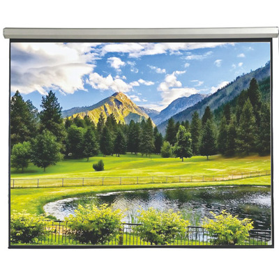 Екран моторизований з пультом ДК Electric Screen with remote control 400x250cm Matte White 16:10