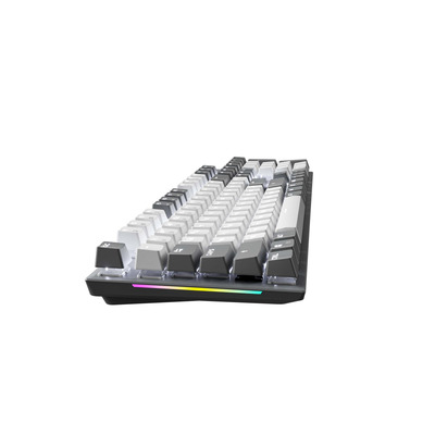 Клавиатура GamePro Genesis Metallic MK144G Outemu Red Swithes USB Gray