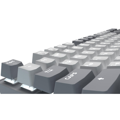 Клавиатура GamePro Genesis Metallic MK110G Outemu Red Swithes USB Gray