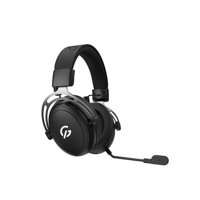 Гарнитура GamePro Asgard Skald Black (HSW160B)