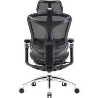 Кресло офисное Sihoo Doro C300 Pro Mesh Black (DORO-C300-PRO-M101)