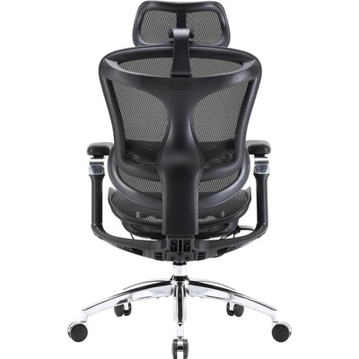 Кресло офисное Sihoo Doro C300 Pro Mesh Black (DORO-C300-PRO-M101)