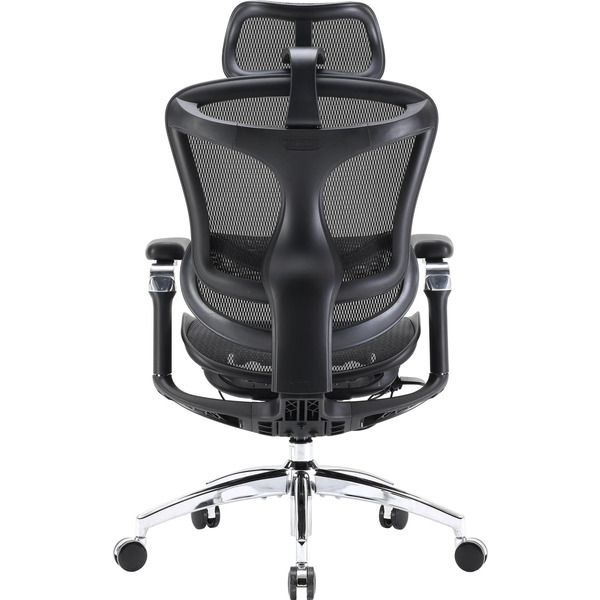 Крісло офісне Sihoo Doro C300 Pro Mesh Black (DORO-C300-PRO-M101)