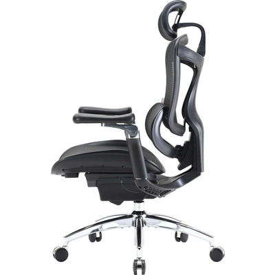 Кресло офисное Sihoo Doro C300 Pro Mesh Black (DORO-C300-PRO-M101)