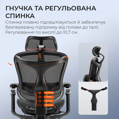 Кресло офисное Sihoo Doro C300 Pro Mesh Black (DORO-C300-PRO-M101)