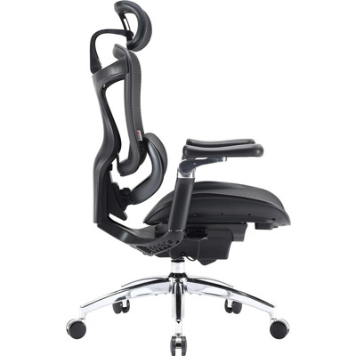 Кресло офисное Sihoo Doro C300 Pro Mesh Black (DORO-C300-PRO-M101)