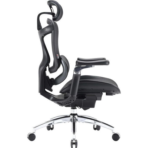 Крісло офісне Sihoo Doro C300 Pro Mesh Black (DORO-C300-PRO-M101)