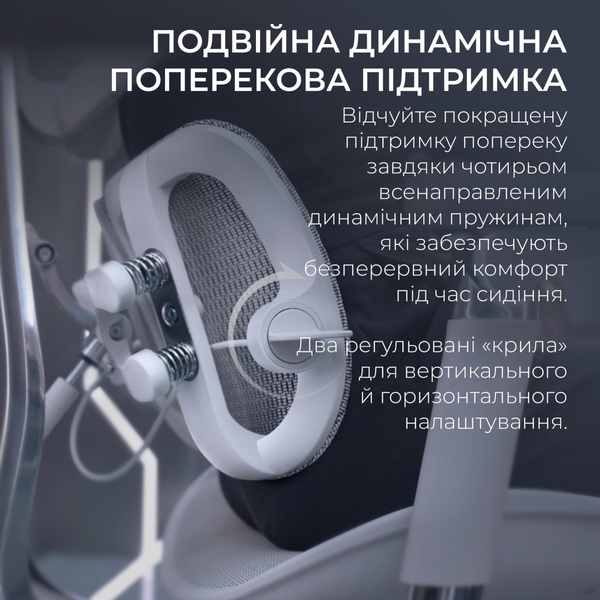 Крісло офісне Sihoo Doro S100 Mesh Black (S100-M301)